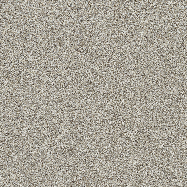 Dreamweaver Carpet Lucky Penny I Pine Cone DREAMWEAVER