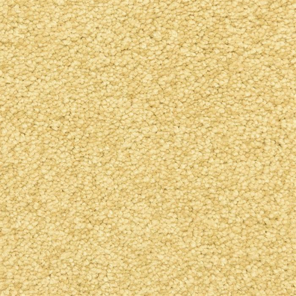 Masland Carpets Morgan Bay Cheshire Masland