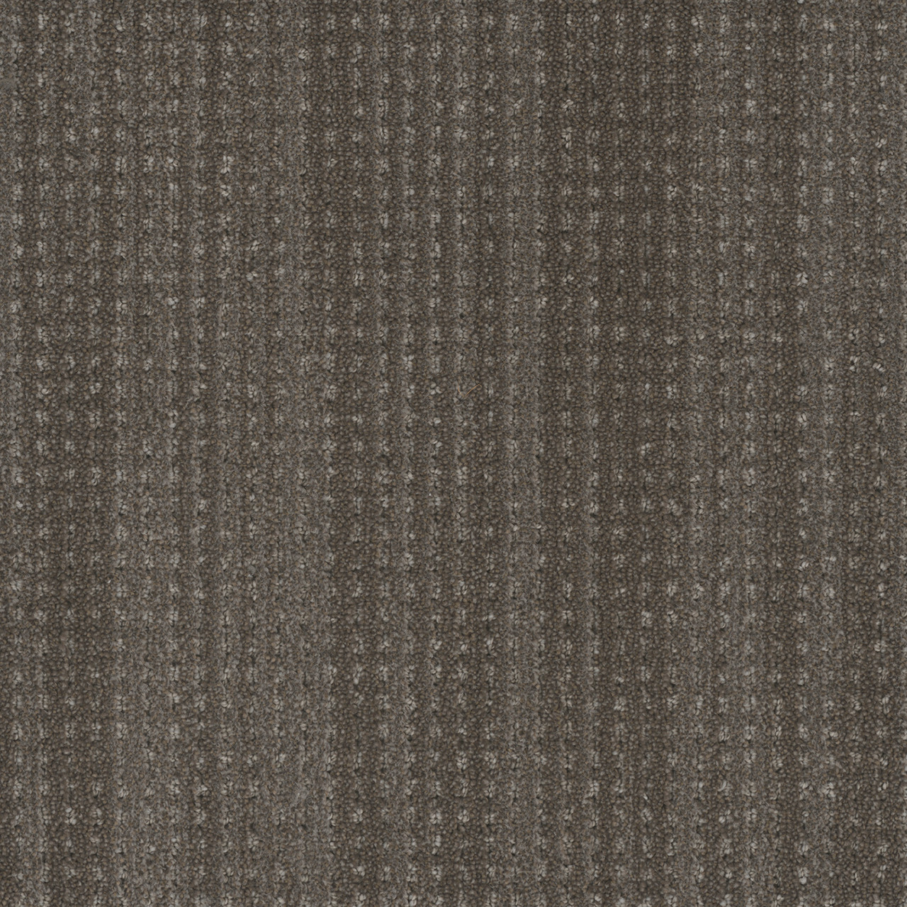 DW Select Carpet Davos Tavaus DREAMWEAVER