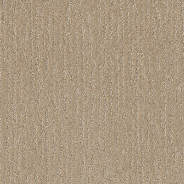 Dreamweaver Carpet Venetian Frosted Coconut DREAMWEAVER