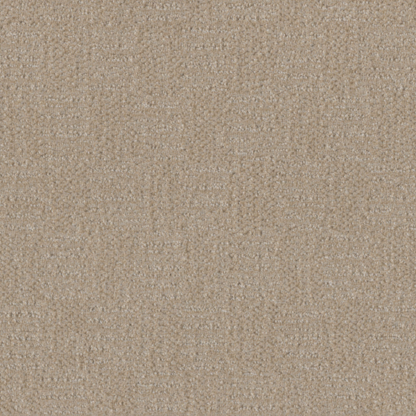 Dreamweaver Carpet Classic Elements Frosted Coconut DREAMWEAVER