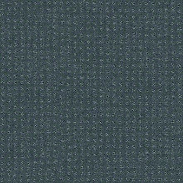 Shaw Floors Alluring Disposition Oceanside SHAW