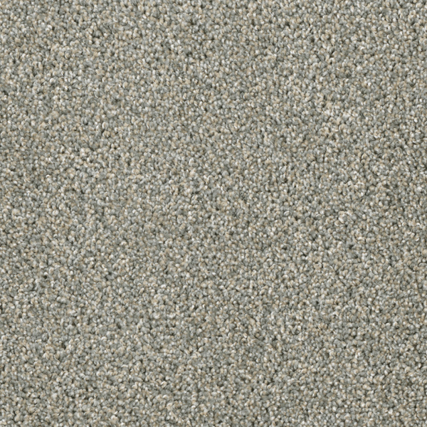 Dreamweaver Carpet Acclaim Sandy Trail DREAMWEAVER