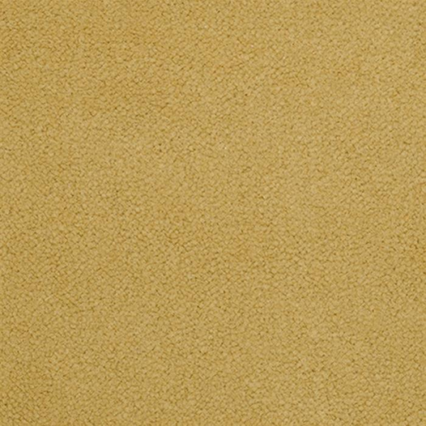 Masland Carpets Panache Fiesta Masland