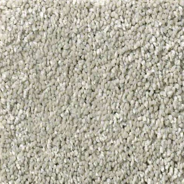 Shaw Floors Basic Rules Platinum SHAW