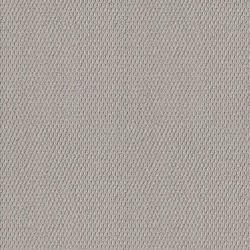 Shaw Floors Naturalistic Silver Lining SHAW