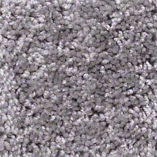 Shaw Floors Dreamin 12' Sterling SHAW