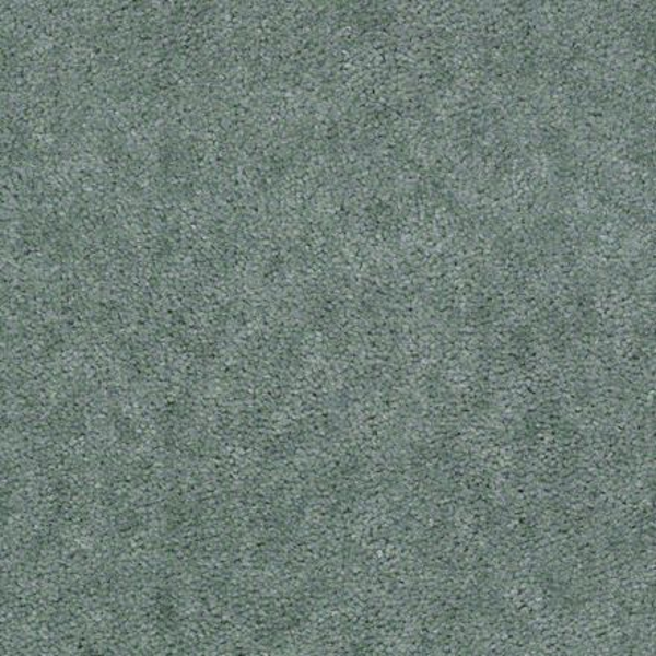 Shaw Floors Cascade II Tree Trunk SHAW