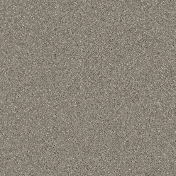 Shaw Floors Favoured Path Ashes SHAW