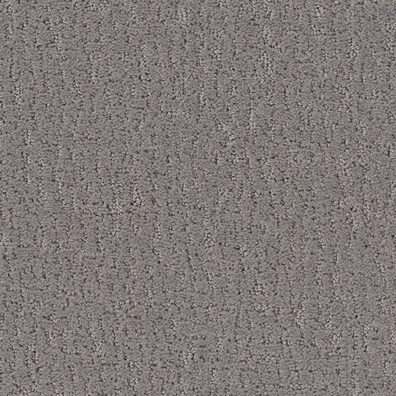 Shaw Floors Studio Set Fallen Acorn SHAW