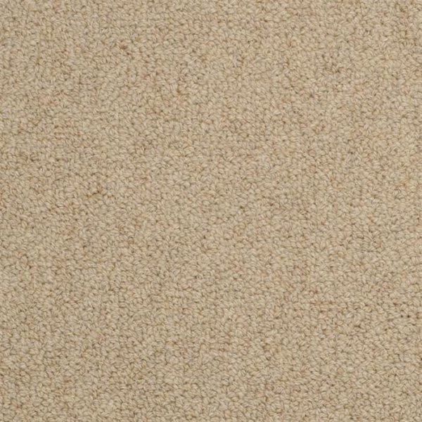 Masland Carpets Wexford Flanagan Masland