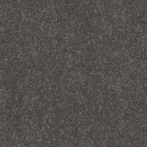 Shaw Floors Easy Spirit II 12 Iron SHAW