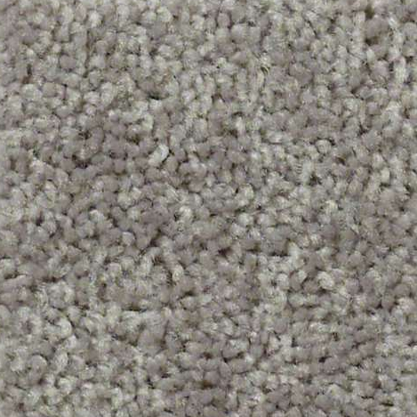 Shaw Floors Fielders Choice 12 Armour SHAW