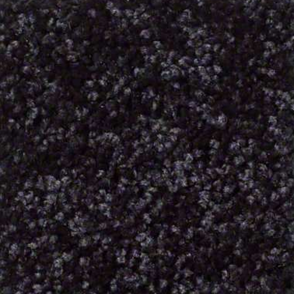 Shaw Floors Fielders Choice 15 Armour SHAW