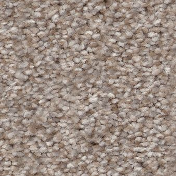 Shaw Floors Truspirit I Lady Liberty SHAW