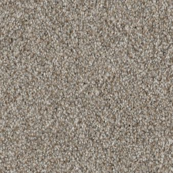 Shaw Floors Trusplendor Lady Liberty SHAW