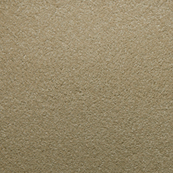 Tarkett Home Carpets Soft Spoken Moonstone LEXMARK