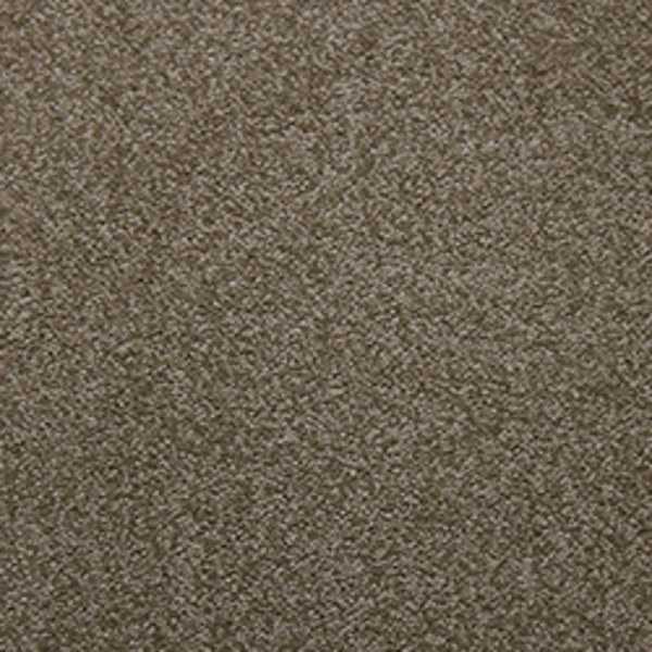 Tarkett Home Carpets Soft Spoken Suede LEXMARK