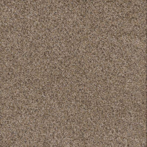 Dreamweaver Carpet Toast Of The Town Briarwood DREAMWEAVER