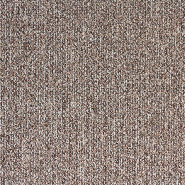 Southwind Starlight Elite Bravado