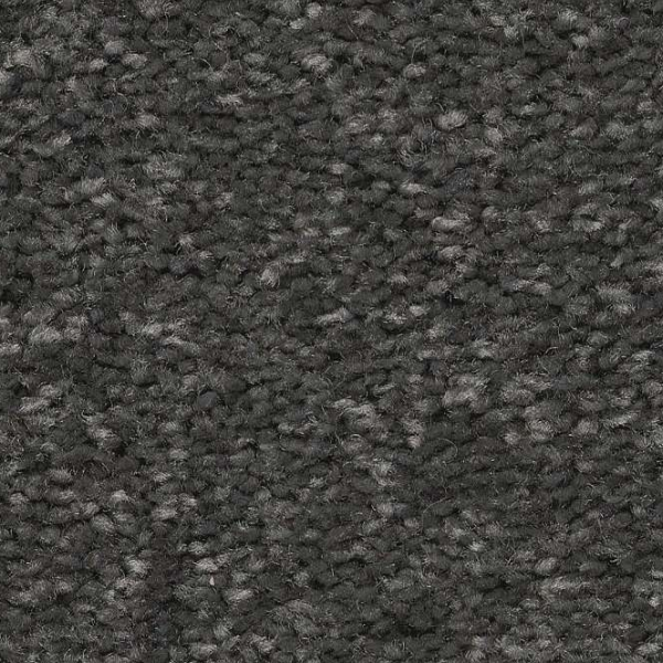 Shaw Floors Well Made Charcoal SHAW