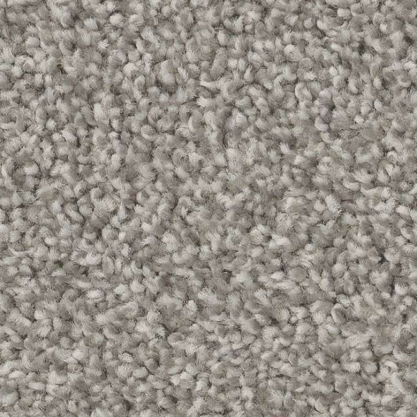 Shaw Floors Trusolutions I Concrete SHAW