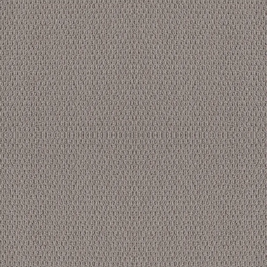 Shaw Floors Naturalistic Grey Fox SHAW