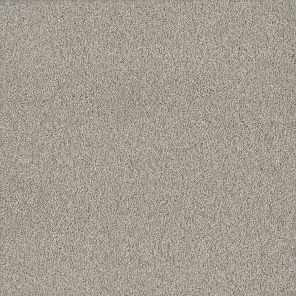 Dreamweaver Carpet No Limits III Wonderland DREAMWEAVER