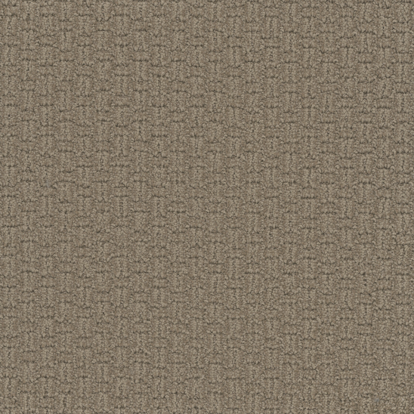 Dreamweaver Carpet Grand Isle Tanglewood DREAMWEAVER