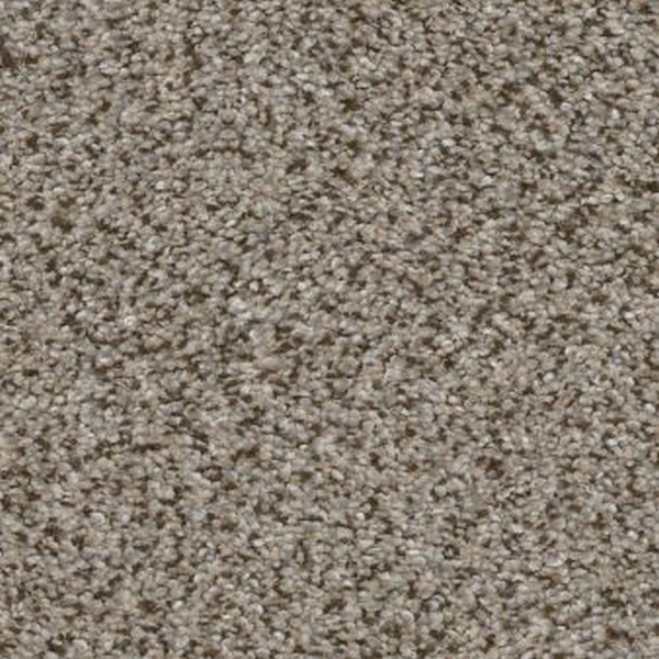 Shaw Floors Trusplendor Iron Works SHAW