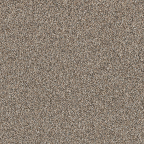 Dreamweaver Carpet Timberline II Cozy Path DREAMWEAVER