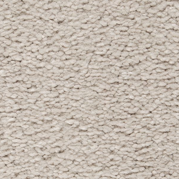 Horizon Carpet Pleasant Touch Artisan Hue Mohawk