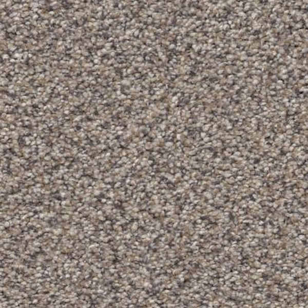 Shaw Floors Trusplendor Concrete SHAW