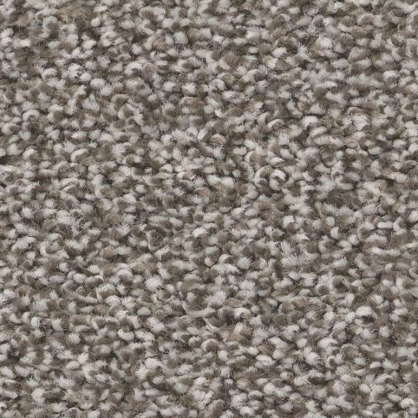 Shaw Floors Trusolutions I Tree Bark SHAW