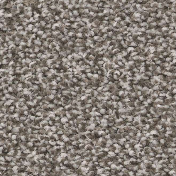 Shaw Floors Trusolutions II Tree Bark SHAW