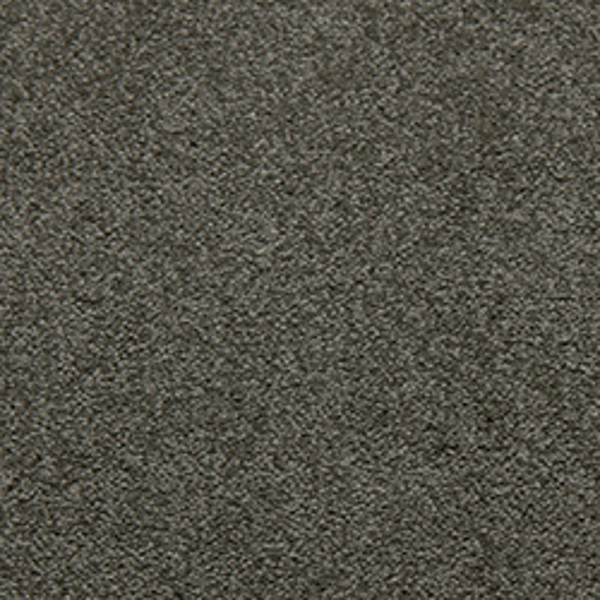 Tarkett Home Carpets Soft Spoken Platinum LEXMARK