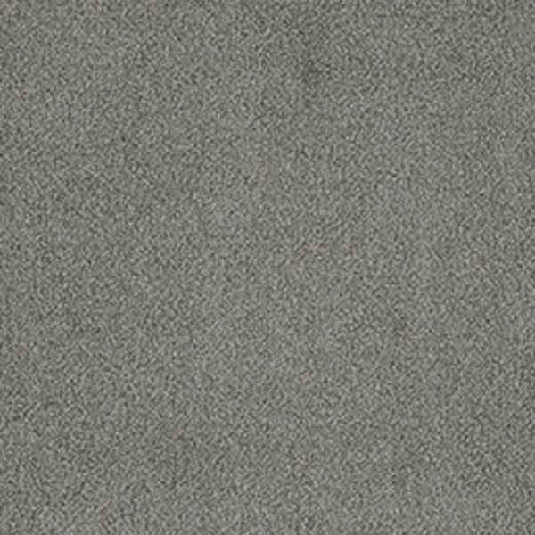 Tarkett Home Carpets Whisper Platinum LEXMARK