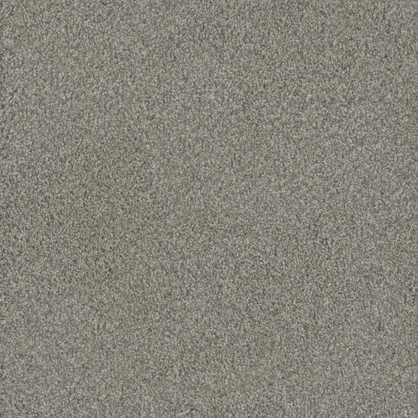 Dreamweaver Carpet No Limits III Dewberry DREAMWEAVER