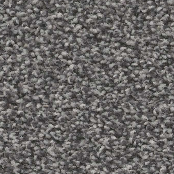 Shaw Floors Trusolutions II Mercury SHAW