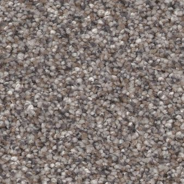 Shaw Floors Truspirit II Stainless SHAW