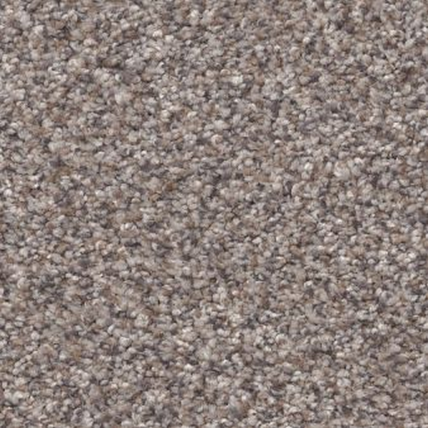 Shaw Floors Trusplendor Stainless SHAW