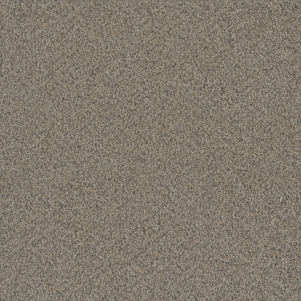 Dreamweaver Carpet No Limits I Meadowlark DREAMWEAVER