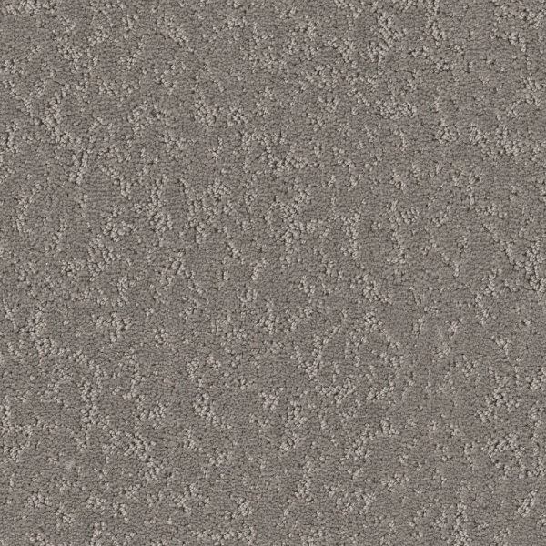 Shaw Floors Clever Choice Lunar Haze SHAW