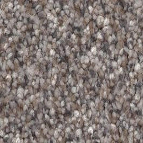 Shaw Floors Truspirit I Quarry SHAW