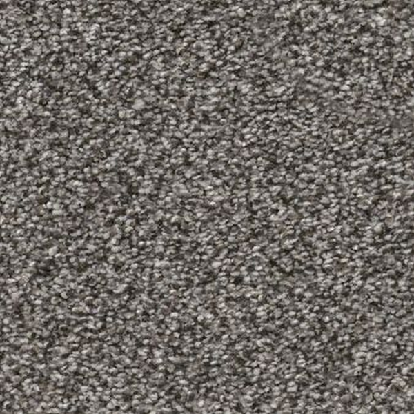 Shaw Floors Truspirit II Quarry SHAW