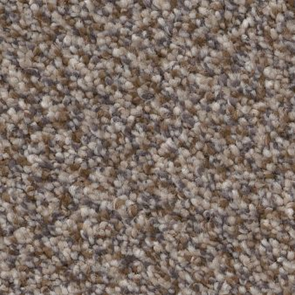 Shaw Floors Truspirit I Cobble Drive SHAW