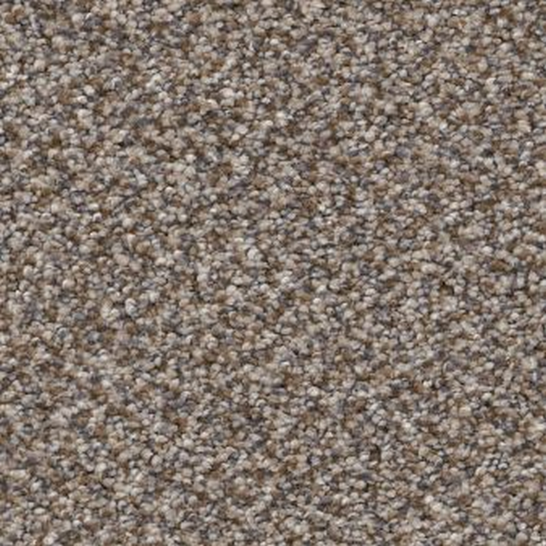 Shaw Floors Trusplendor Cobble Drive SHAW