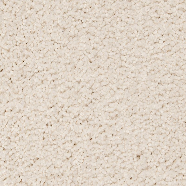 Horizon Carpet Gentle Approach Dovetail Mohawk