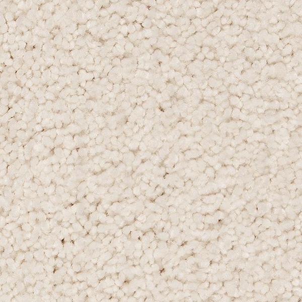Horizon Carpet Pleasant Touch Dovetail Mohawk