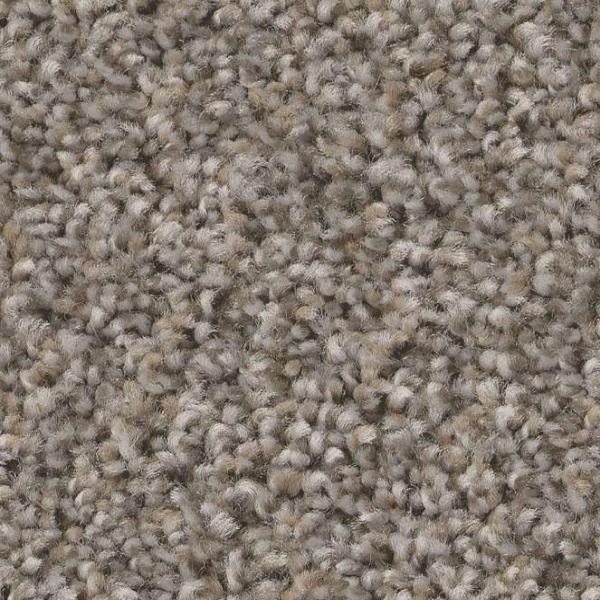 Shaw Floors Always Right I Graphite SHAW